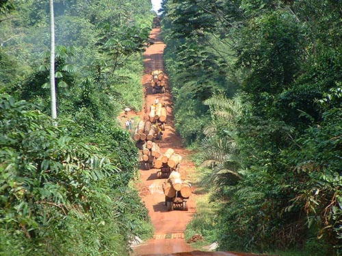 Deforestation2